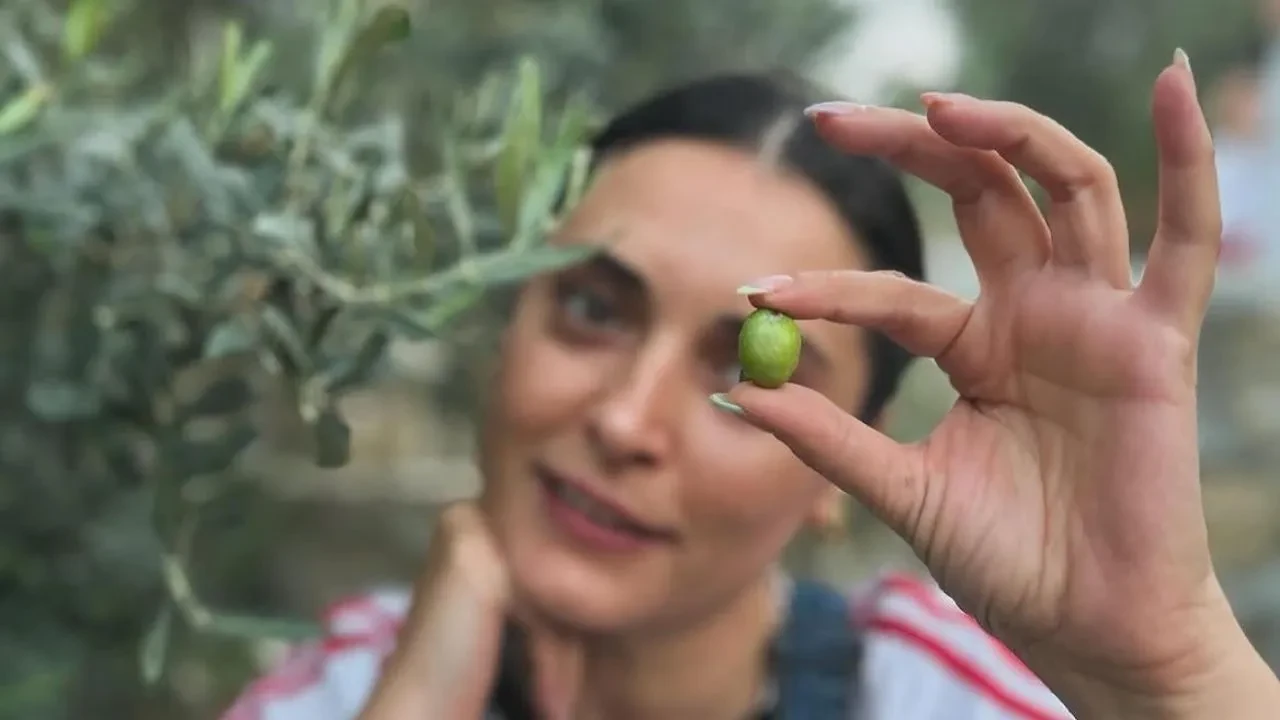 İstanbul’u geride bırakmıştı! Aslıhan Gürbüz’ün Ayvalık’taki zeytin hasadı mutluluğu