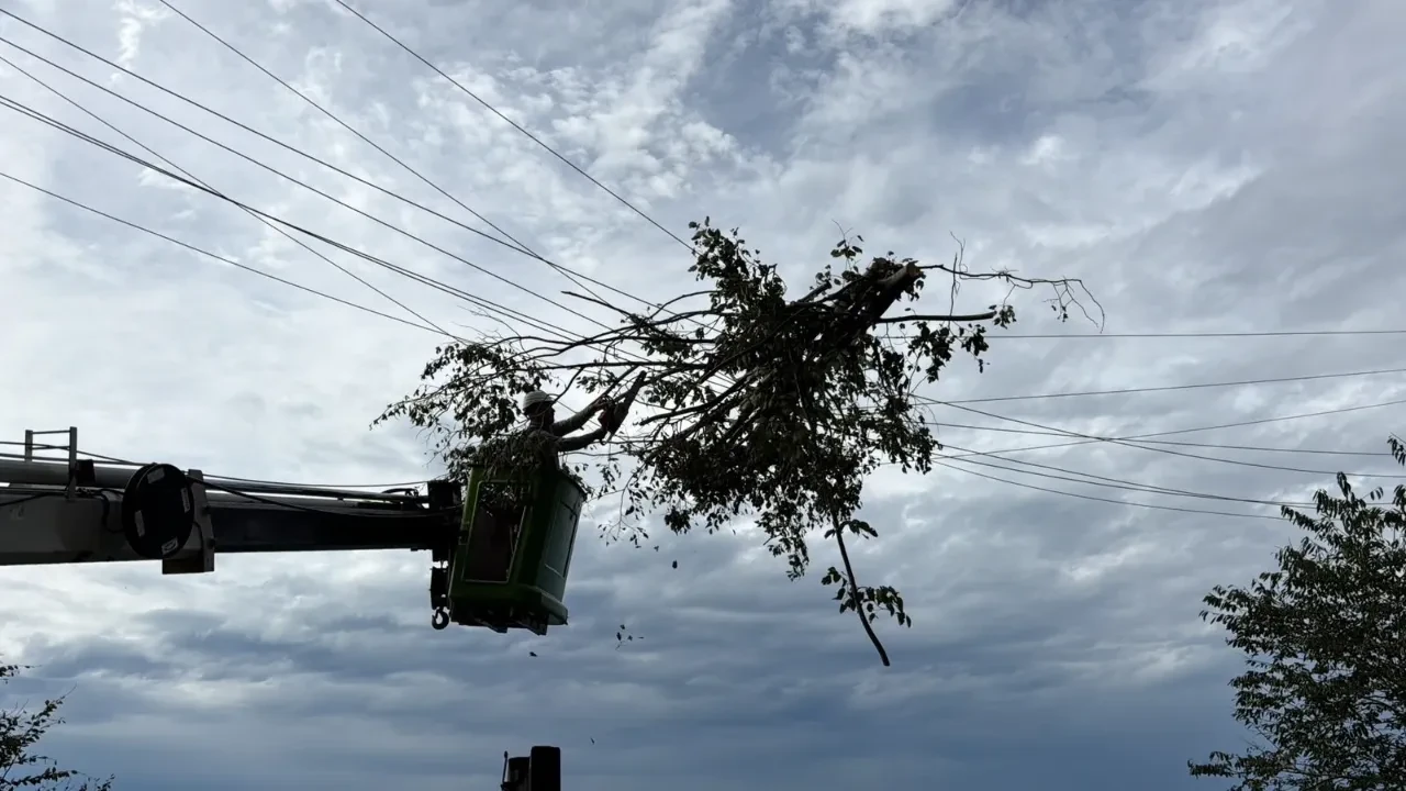 Kuvvetli rüzgâr elektrik hatlarına zarar verdi: Ekipler sahada