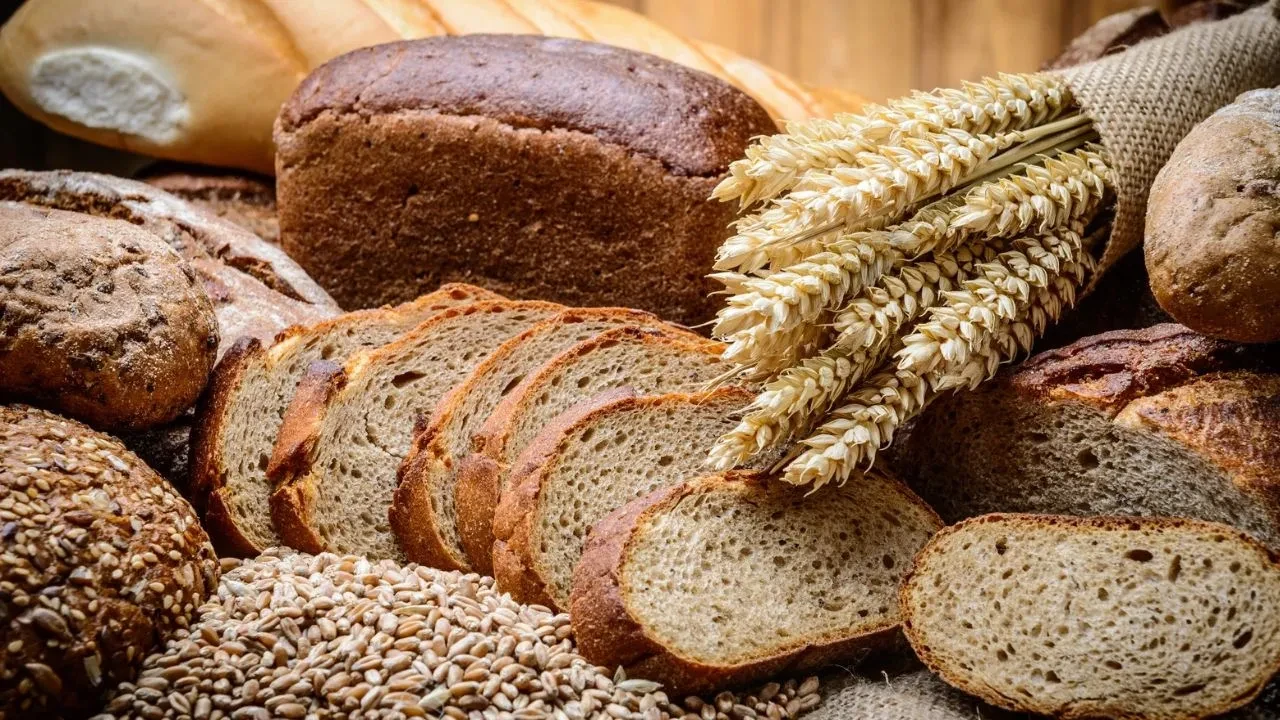 Diyet yaparken tüketilen en sağlıklı ekmek hangisi? Bağırsakları çalıştıran ekmekler