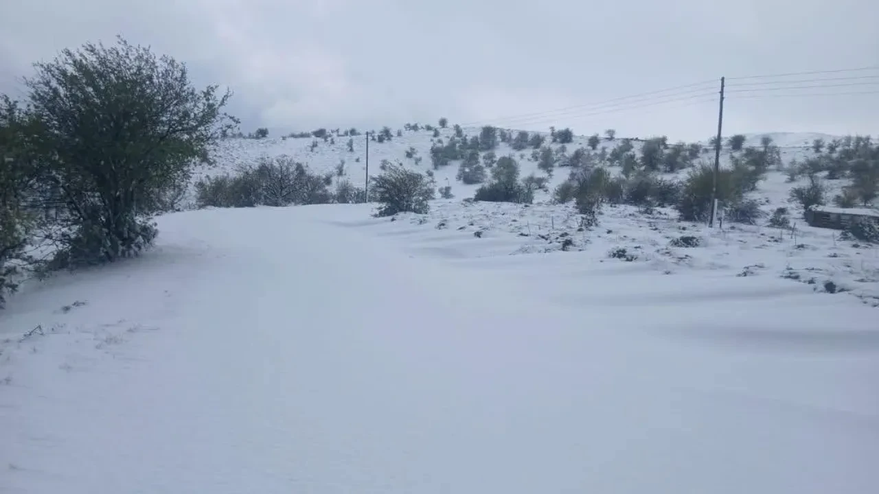 Manisa'ya ilk kar düştü! Alaşehir'in yüksek kesimleri beyaza büründü