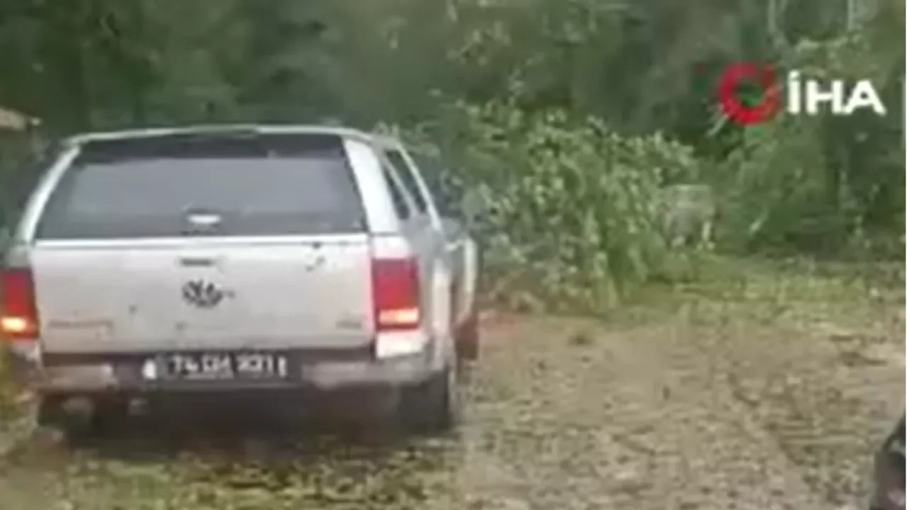 Kastamonu'da fırtına ağaçları kökünden söktü: Rüzgarın hızı 116 kilometreye ulaştı