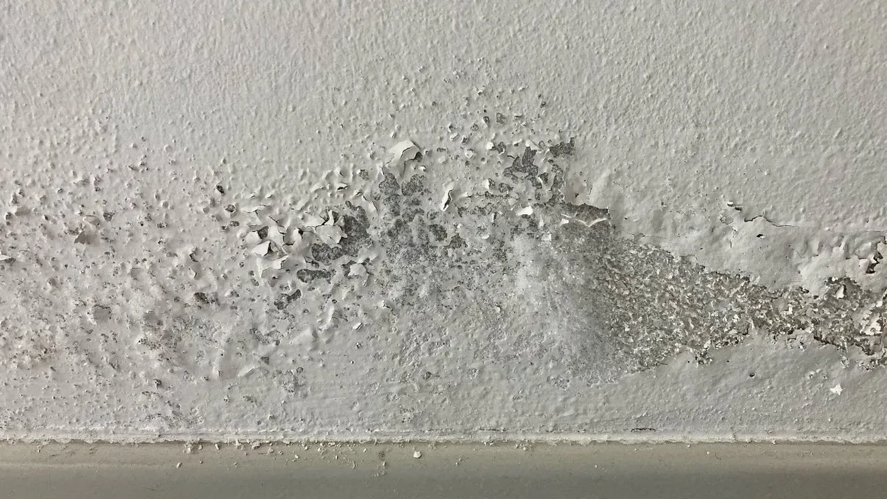 Banyo neden sürekli nemli olur? Banyodaki nem oranını hızla azaltmanın yolu