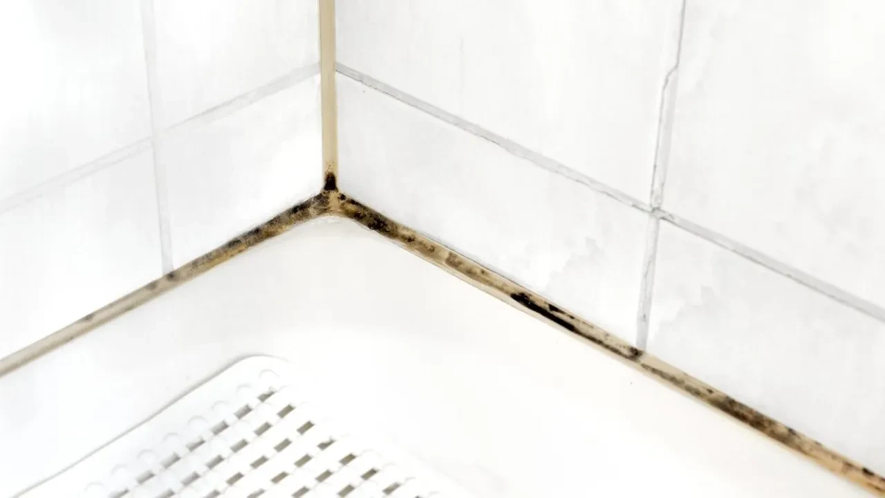 Banyo neden sürekli nemli olur? Banyodaki nem oranını hızla azaltmanın yolu