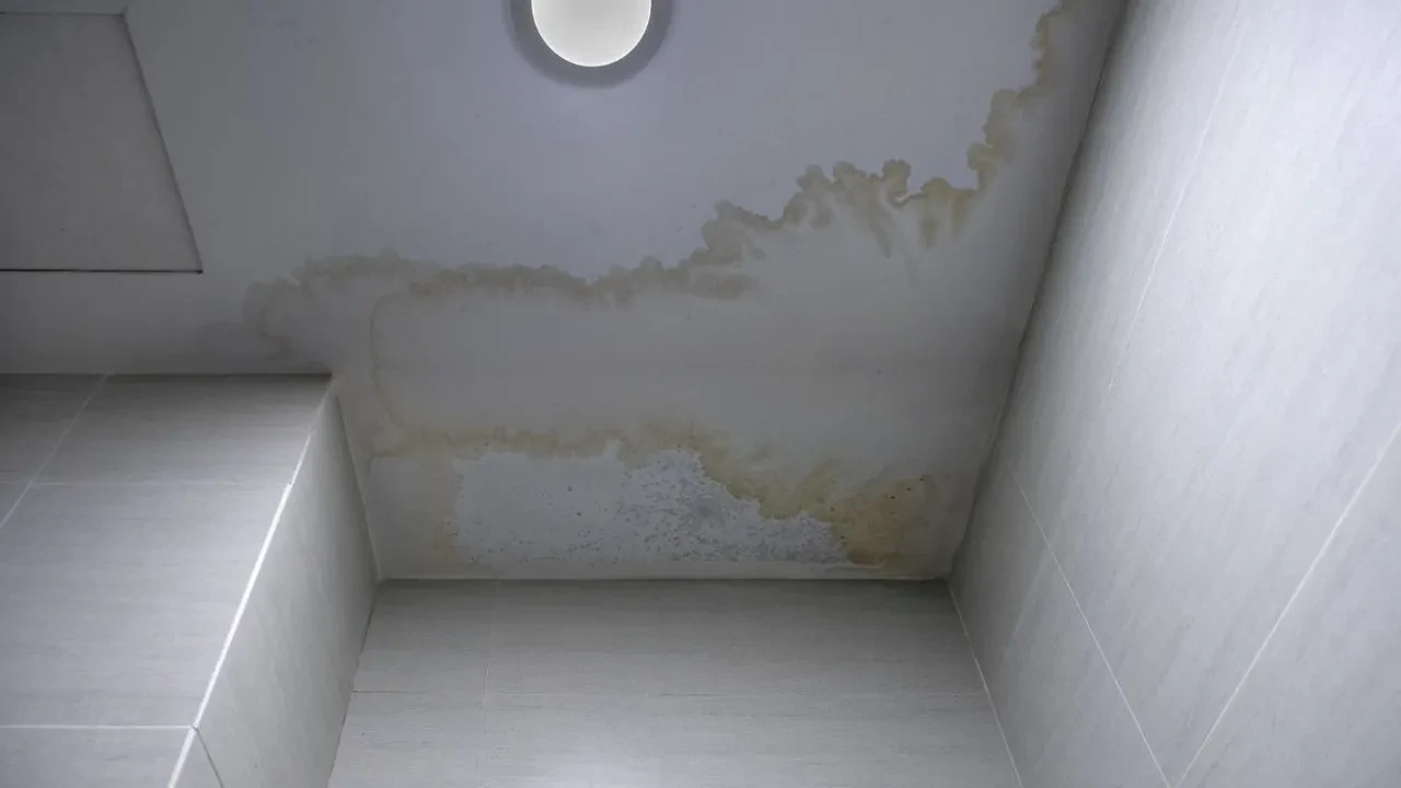Banyo neden sürekli nemli olur? Banyodaki nem oranını hızla azaltmanın yolu