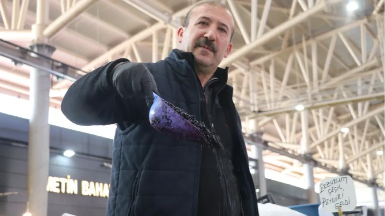 Faydasını çok az kişi biliyor: Toplaması bedava, kilosu 100 lira 