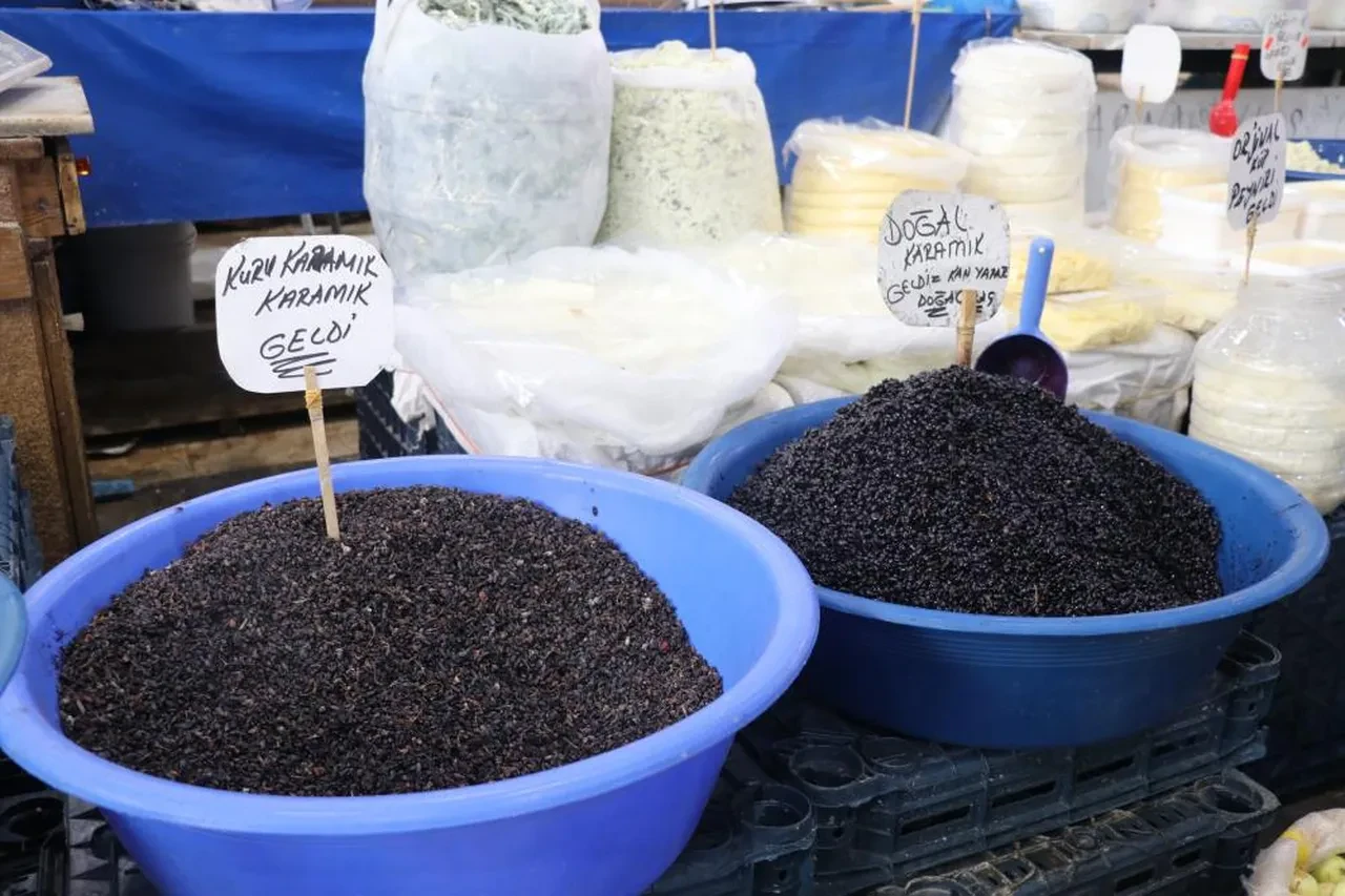 Faydasını çok az kişi biliyor: Toplaması bedava, kilosu 100 lira