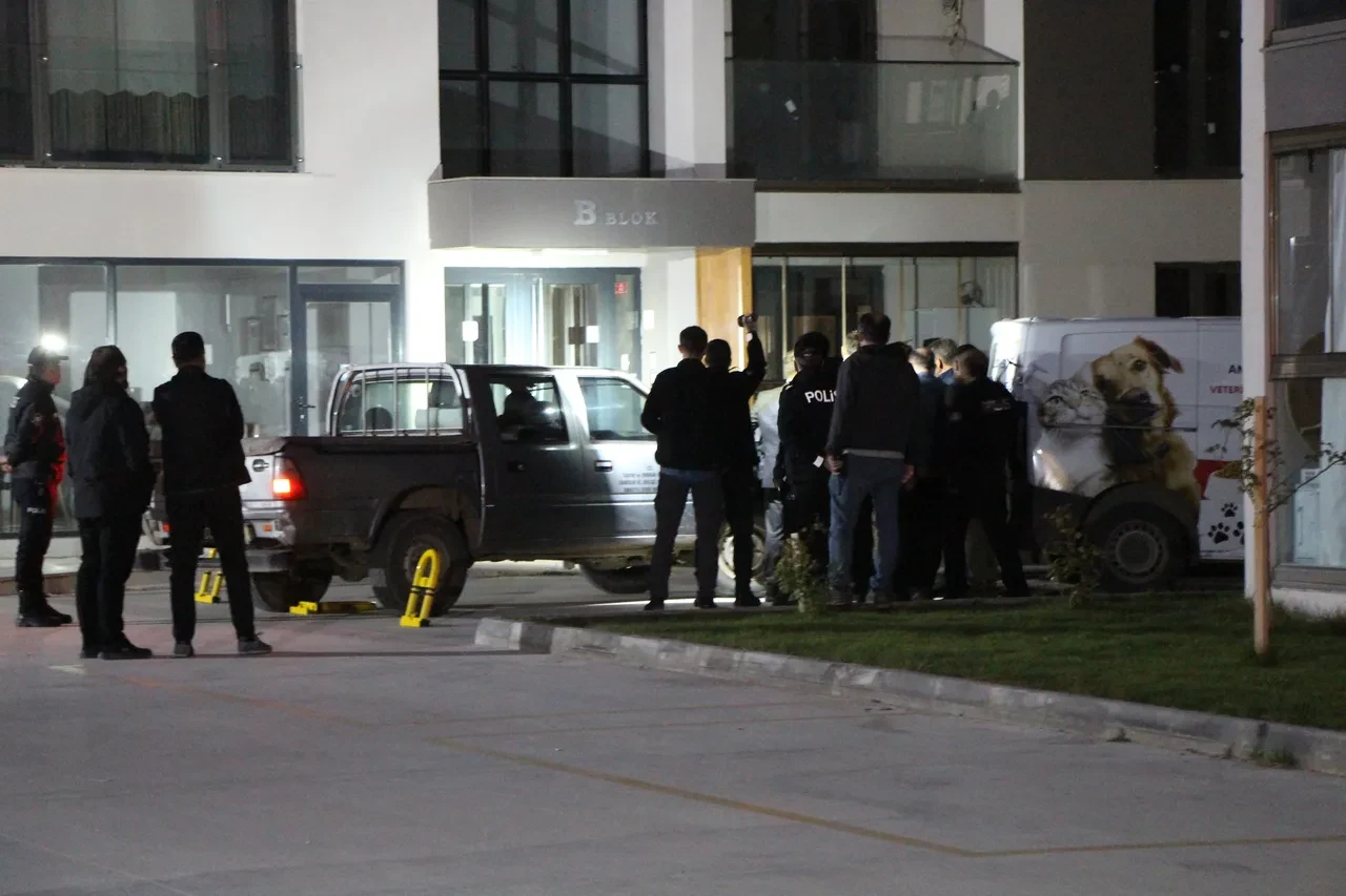 Amasya'da sıra dışı operasyon! Apartmana giren domuza polis müdahale etti