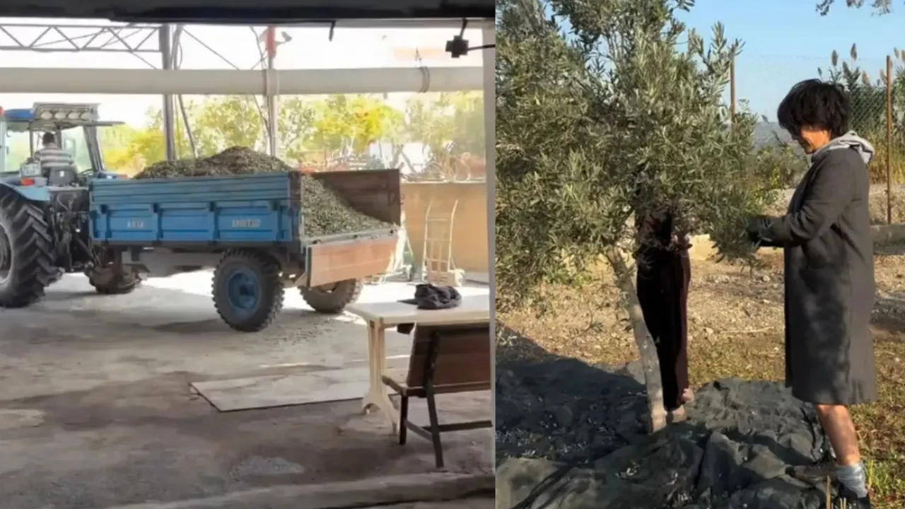 Arka Sokaklar'ın Ayla'sı Filiz Taçbaş oyunculuğa ara verdi! Köye yerleşti yeni hayatıyla dikkat çekti