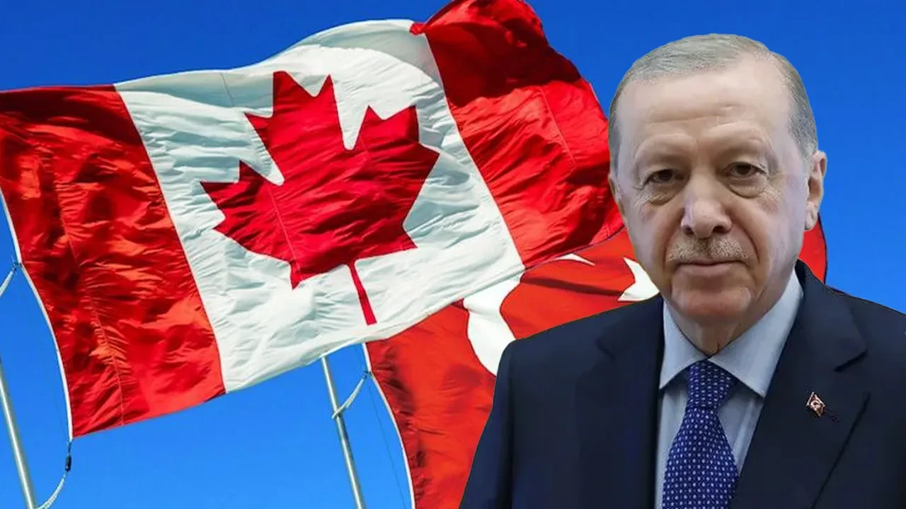 Fotoğraf