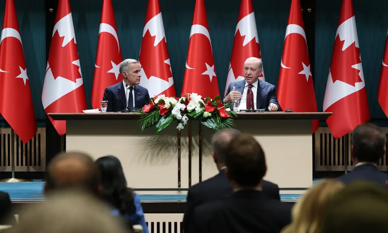 Fotoğraf