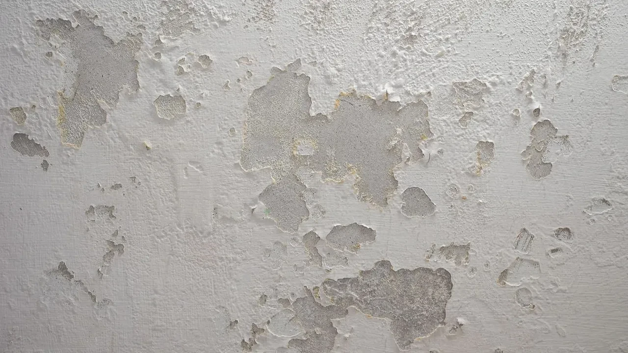 Evin nem dengesini azaltan yöntem! Rutubet ve buğulanmayı anından önler
