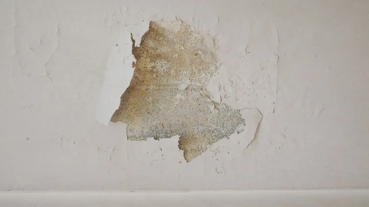 Evin nem dengesini azaltan yöntem! Rutubet ve buğulanmayı anından önler