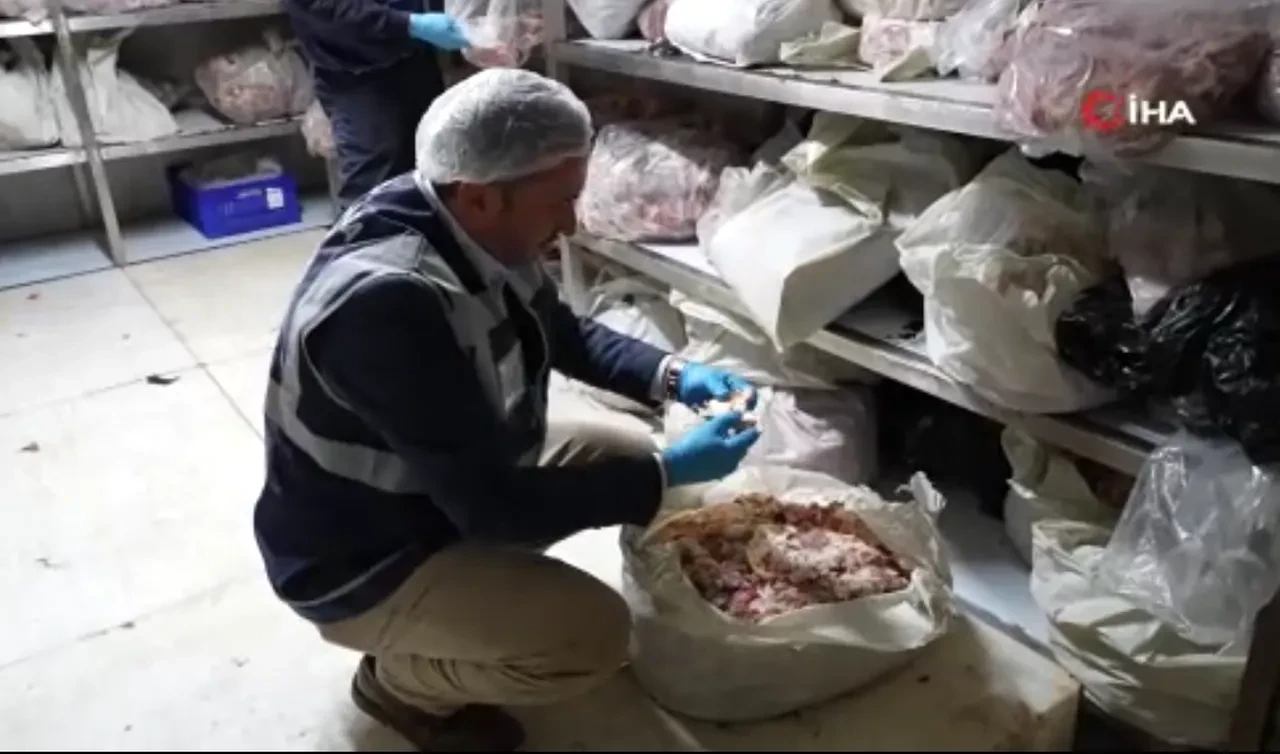 İstanbul’un göbeğinde bozuk et skandalı! 15 ton bozuk ürüne el konuldu: Yapılan savunma pes dedirtti