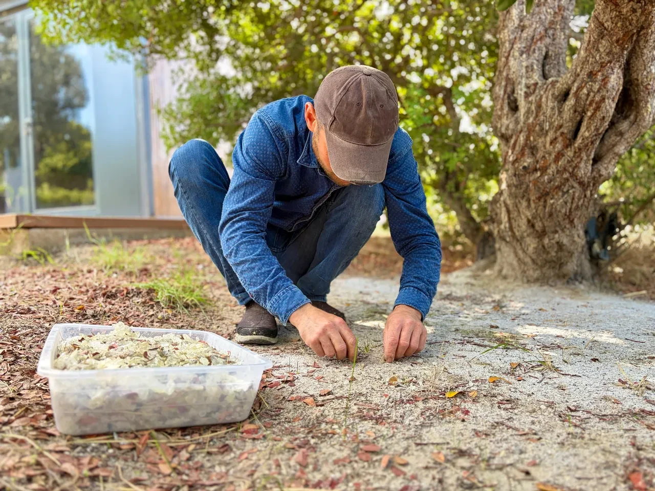 Ege'nin altını en değerli ürünler arasında! Kilosu 50 bin lira, faydaları saymakla bitmiyor