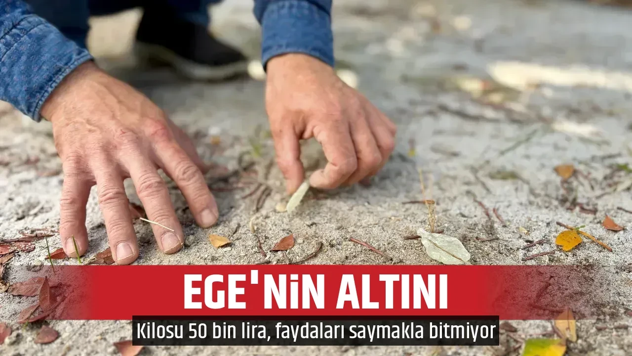 EGE'NİN ALTINI