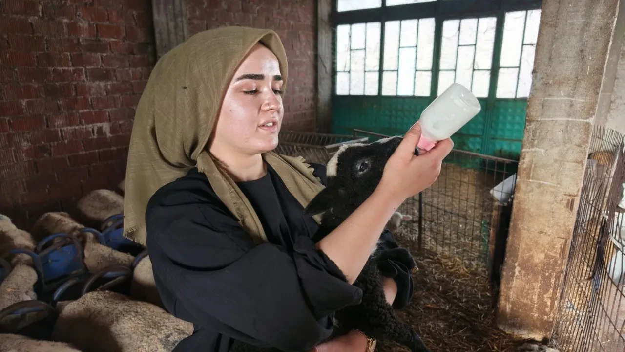 25 yaşında devlet desteğiyle işini kurdu! Kadın girişimciden büyük başarı 