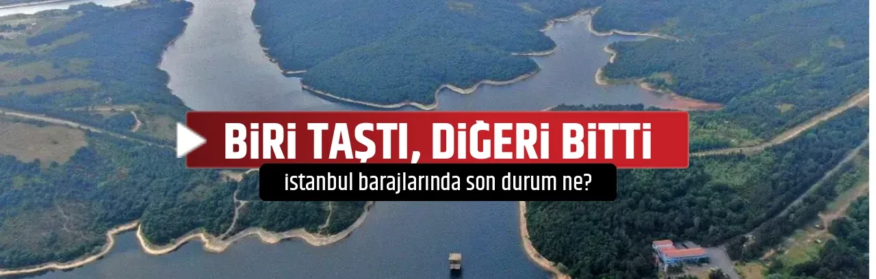 BİRİ TAŞTI, DİĞERİ BİTTİ