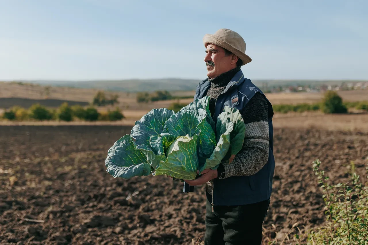 Sebze ve meyve ticaretinde kurallar değişiyor: Marketlere yüzde 20 yerli şartı