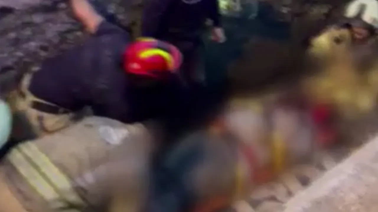 Fotoğraf