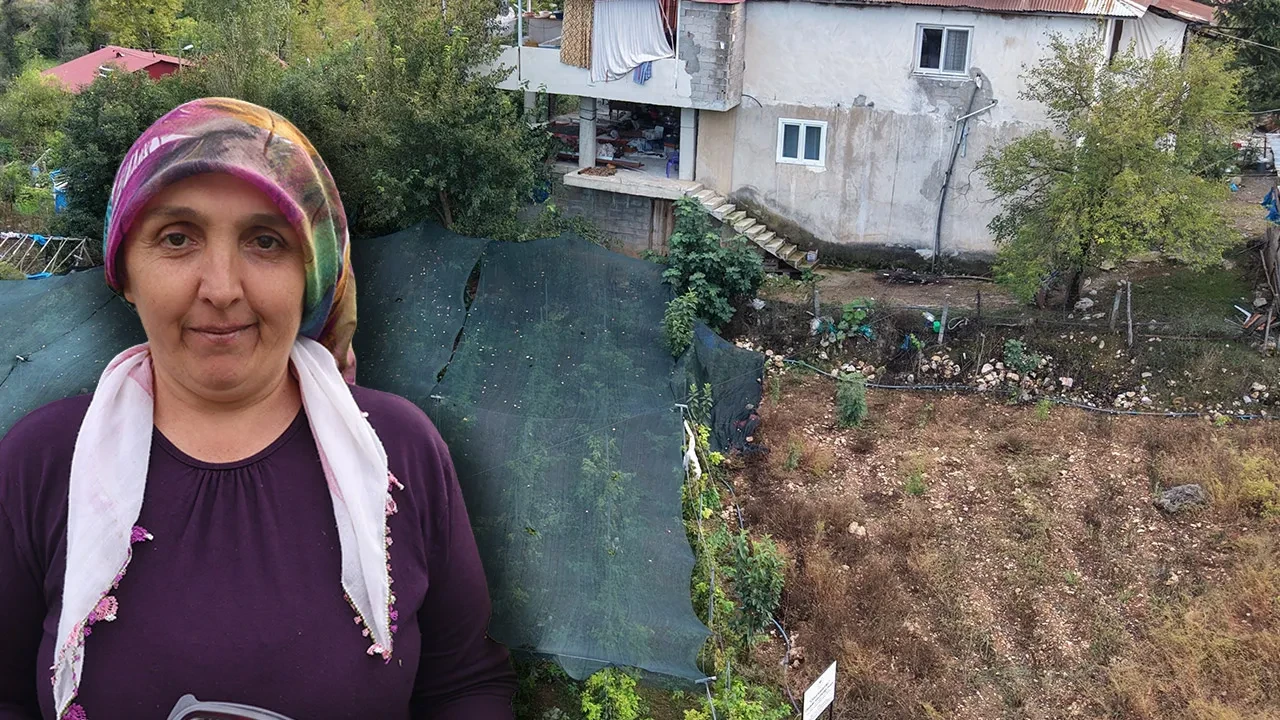 'Ben bu işi yaparım' dedi, ilk kez yetiştirerek kazancını katladı: Kilosunu 500 TL'den satıyor
