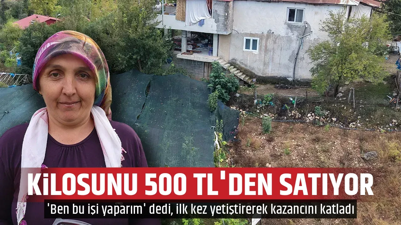 KİLOSUNU 500 TL'DEN SATIYOR