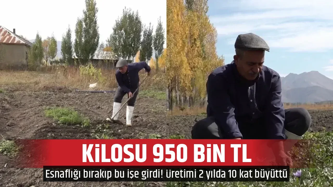 KİLOSU 950 BİN TL