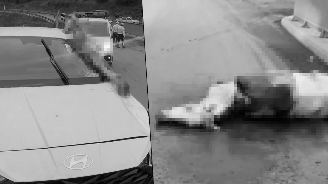 İstanbul'da akılalmaz kaza: Atın kopan bacağı otomobile saplandı