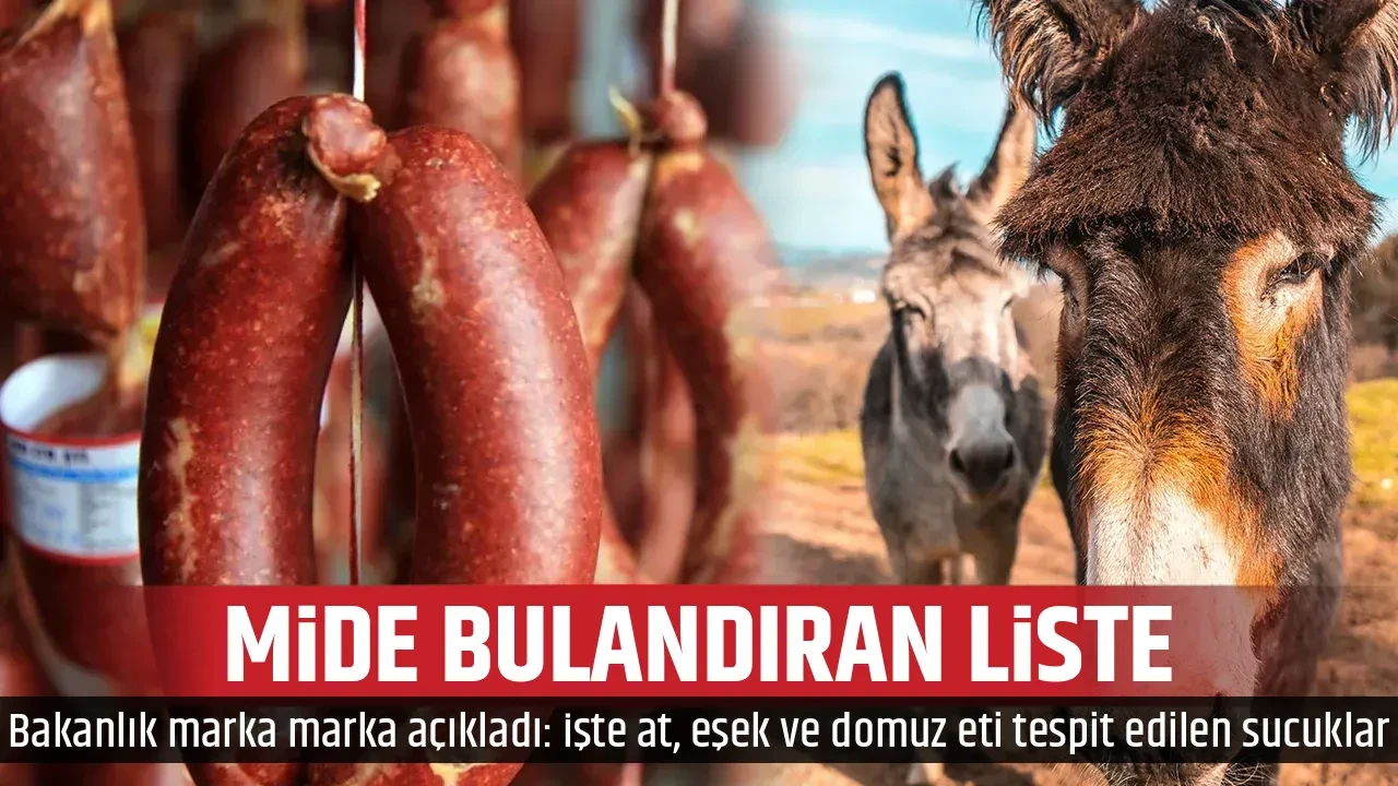 MİDE BULANDIRAN LİSTE