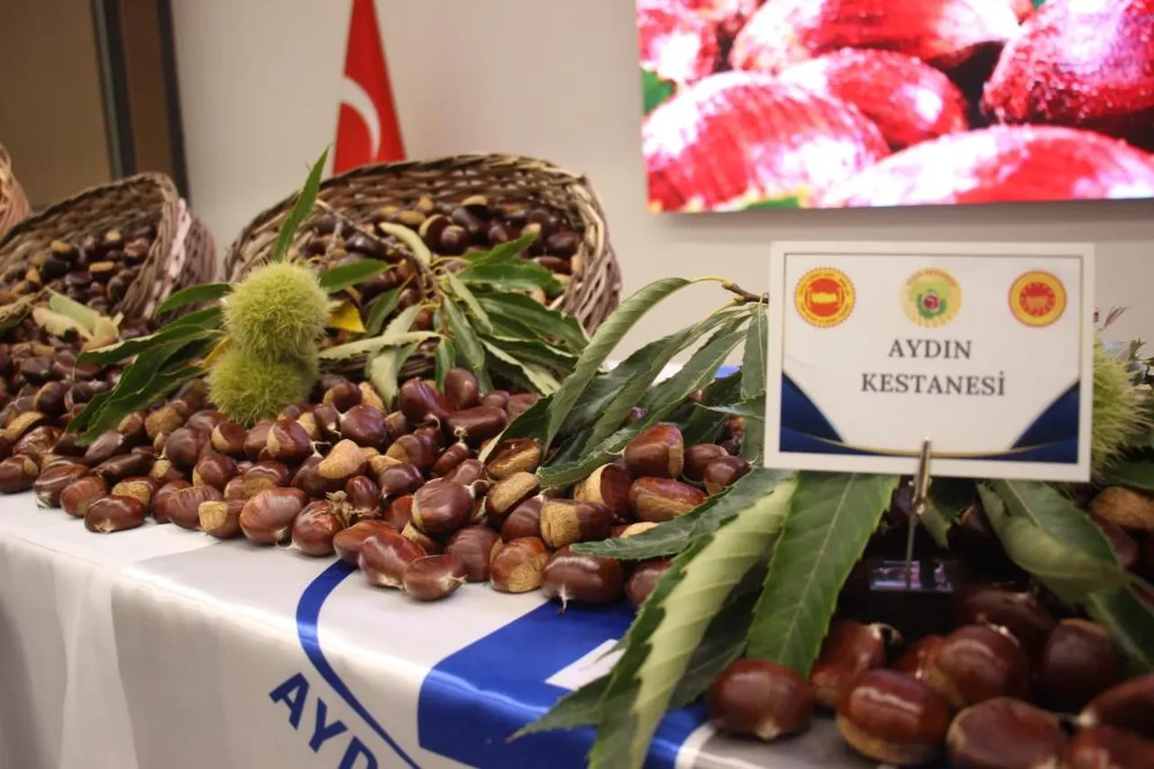 Sezonun ilk ürünü 600 TL’den satın alındı: Üretimin yüzde 60’ı ihraç edilecek