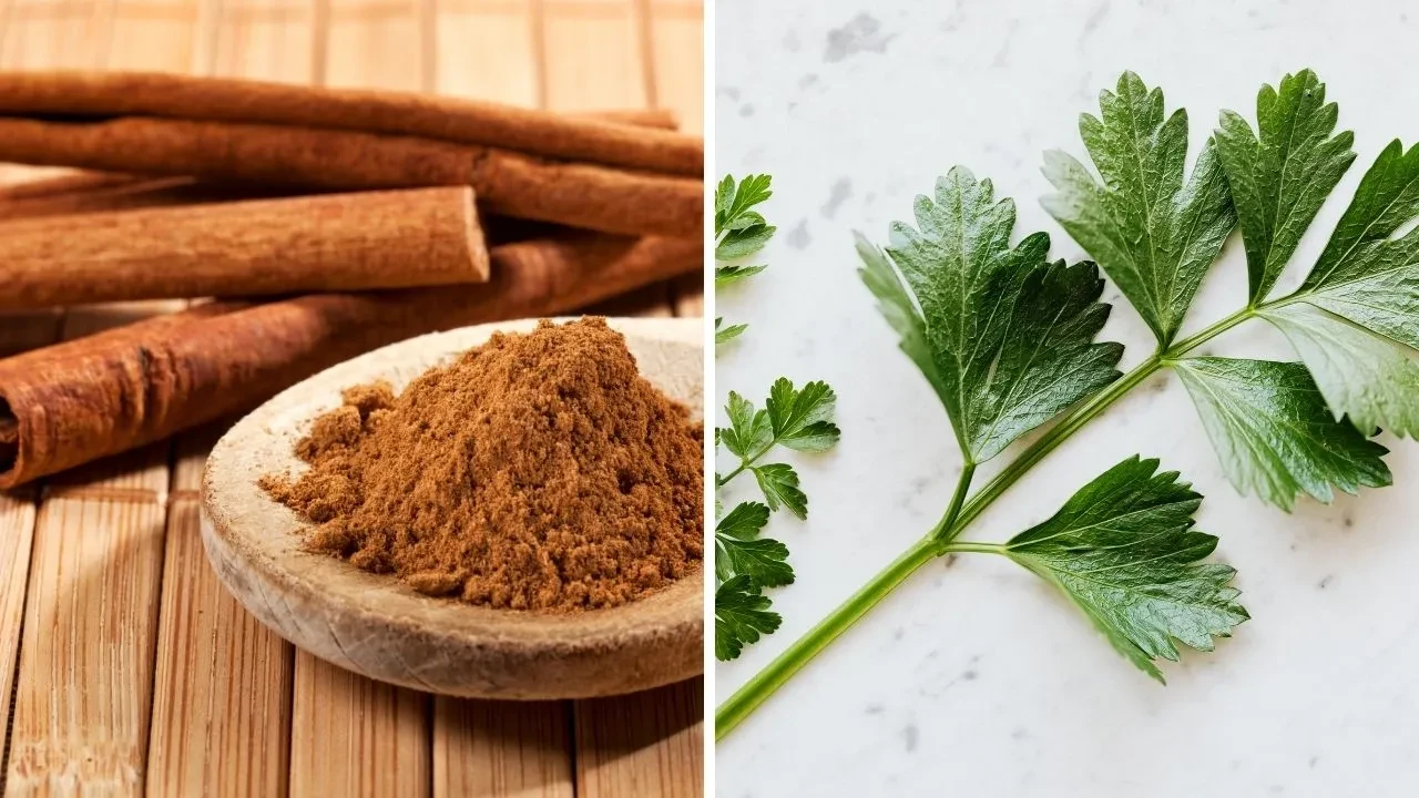 En etkili yağ yakma tarifinin etkilerine inanamayacaksınız! 3 haftada 10 kilo vermek mümkün