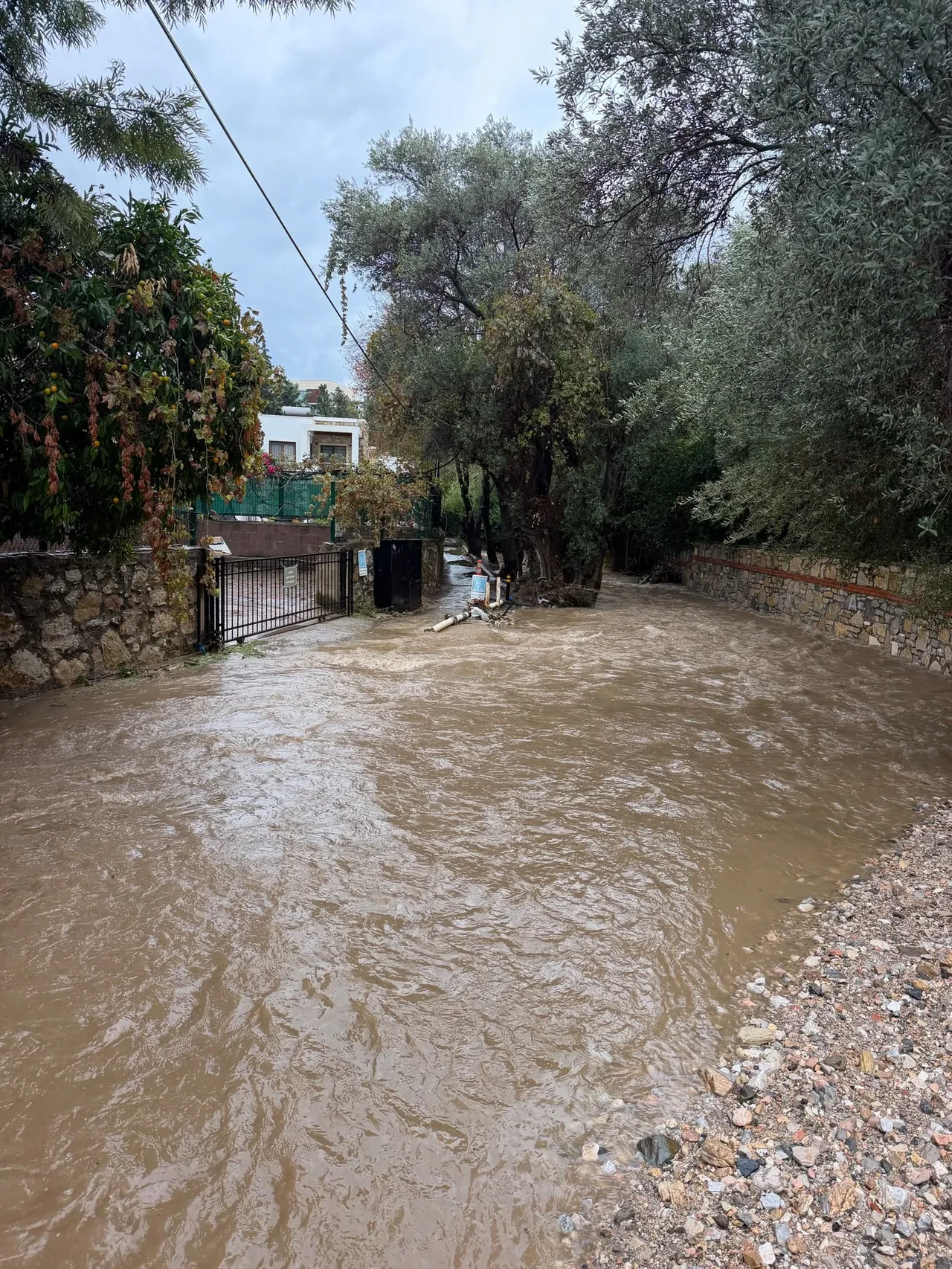 Muğla'da sağanak kabusu! Üç ilçe sular altında kaldı, seralar havuza döndü