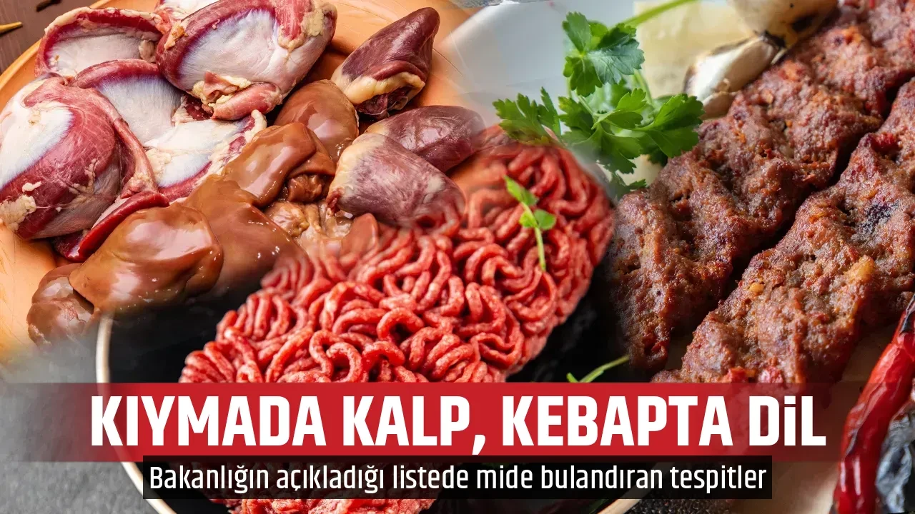 KIYMADA KALP, KEBAPTA DİL