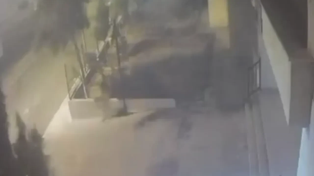 Devrilen ağacın altında kalmaktan saniyelerle kurtuldu: O anlar kamerada