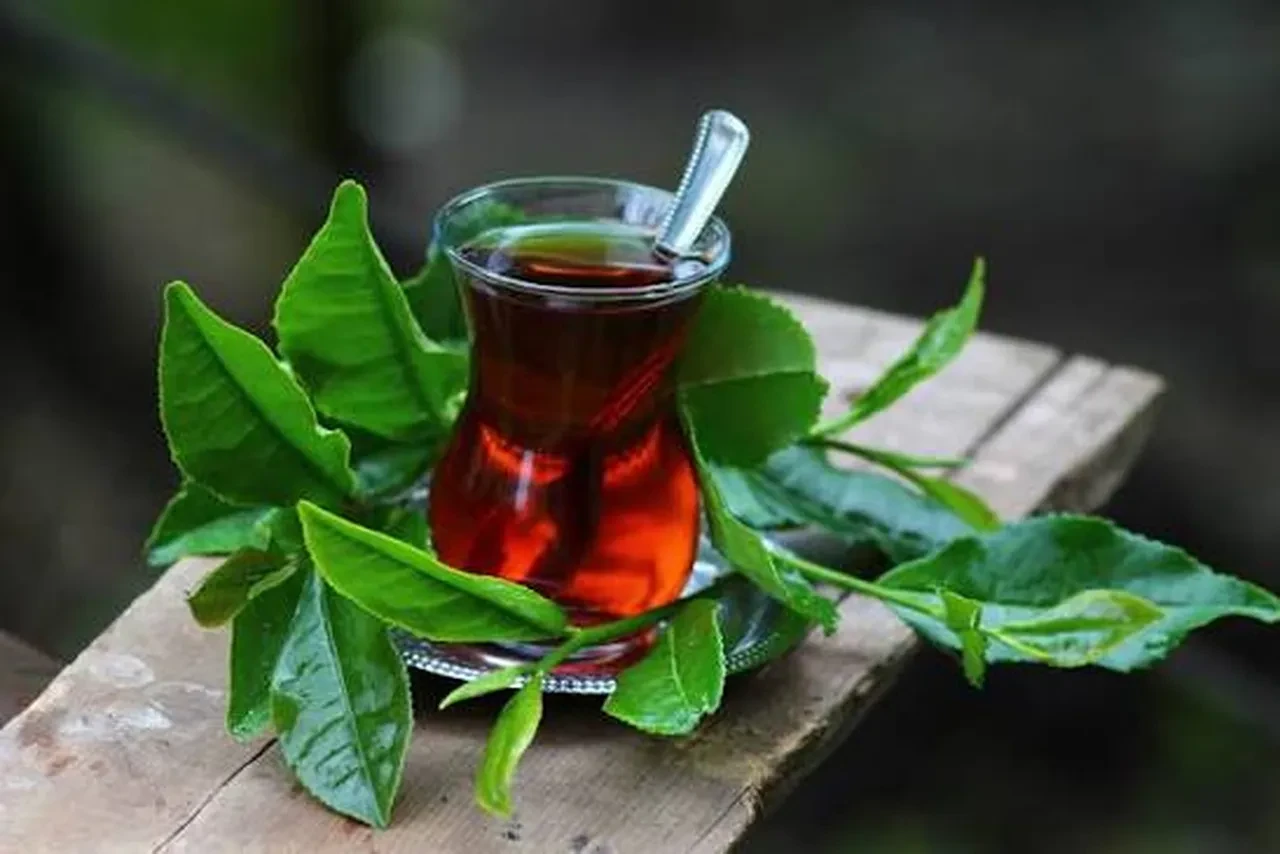 Her gün çay içenleri ilgilendiren araştırma: Damar sağlığını koruyor ama ciddi bir risk var