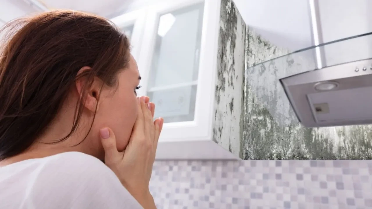 Rutubetli dolaplar nasıl silinir? Kokuyu tamamen yok etmenin yolları