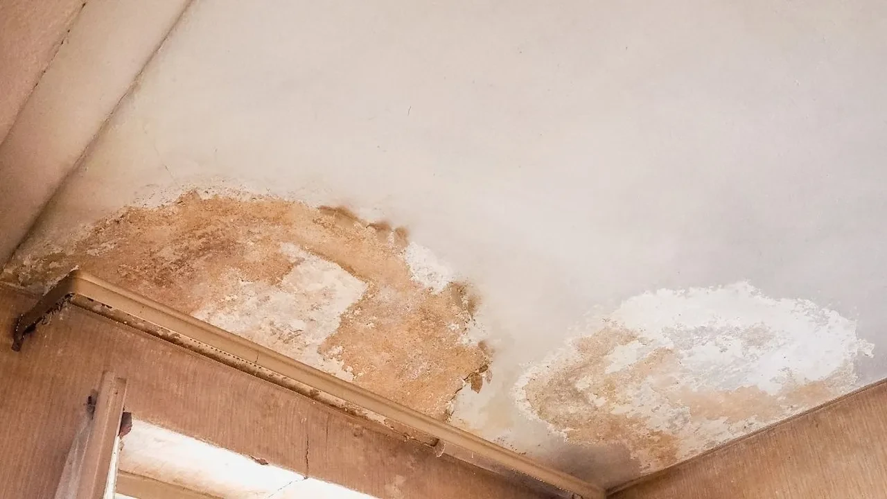 Rutubetli dolaplar nasıl silinir? Kokuyu tamamen yok etmenin yolları