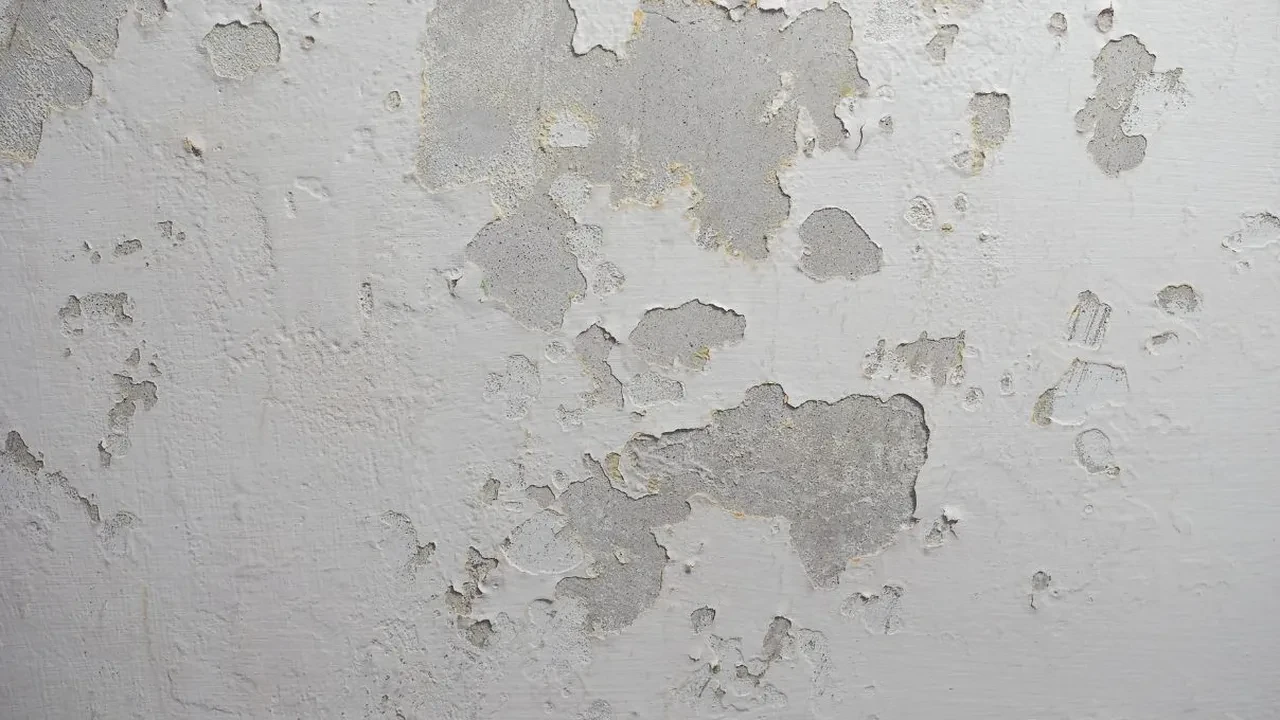 Rutubetli dolaplar nasıl silinir? Kokuyu tamamen yok etmenin yolları