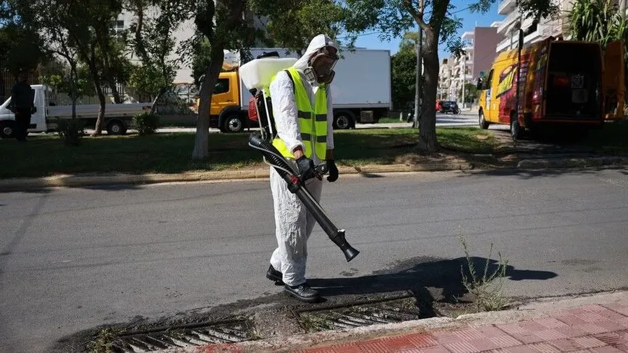 Batı Nil Virüsü Türkiye'de var mı? Batı Nil insandan insana bulaşır mı?