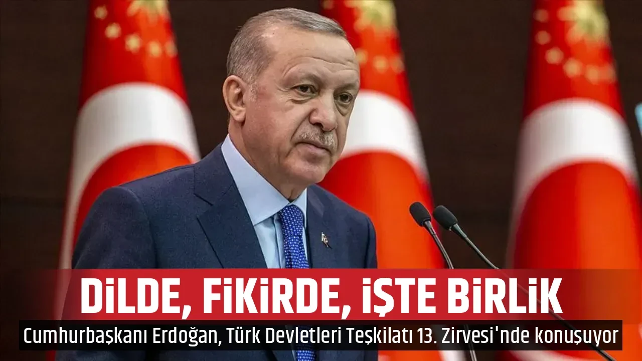 DİLDE, FİKİRDE, İŞTE BİRLİK