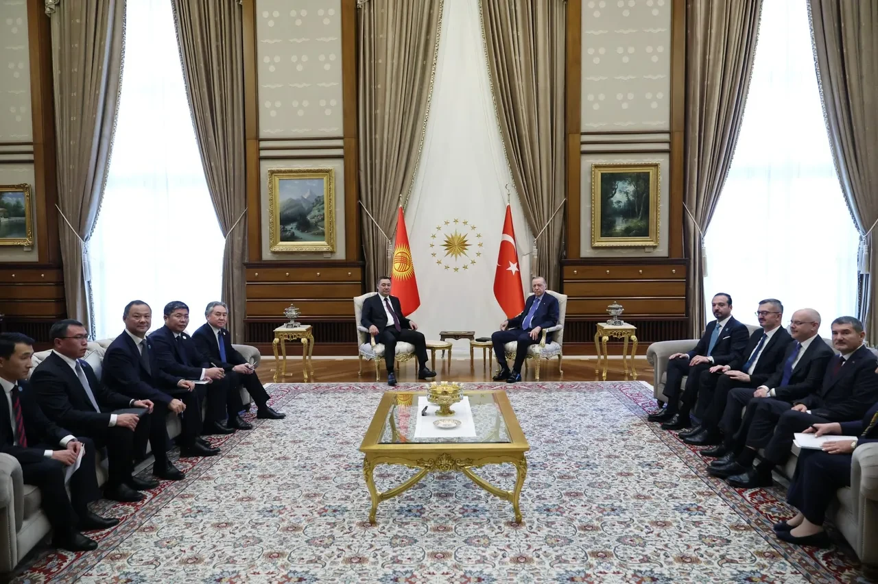 Cumhurbaşkanı Erdoğan'dan TDT Zirvesi kapsamında peş peşe temaslar