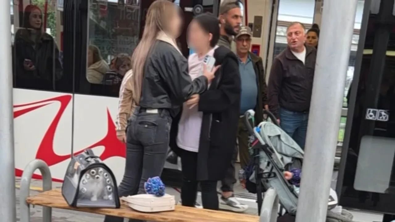 Samsun’da bir çocuk çantadaki kediye vurdu: Anne ile genç kız arasında kavga çıktı!