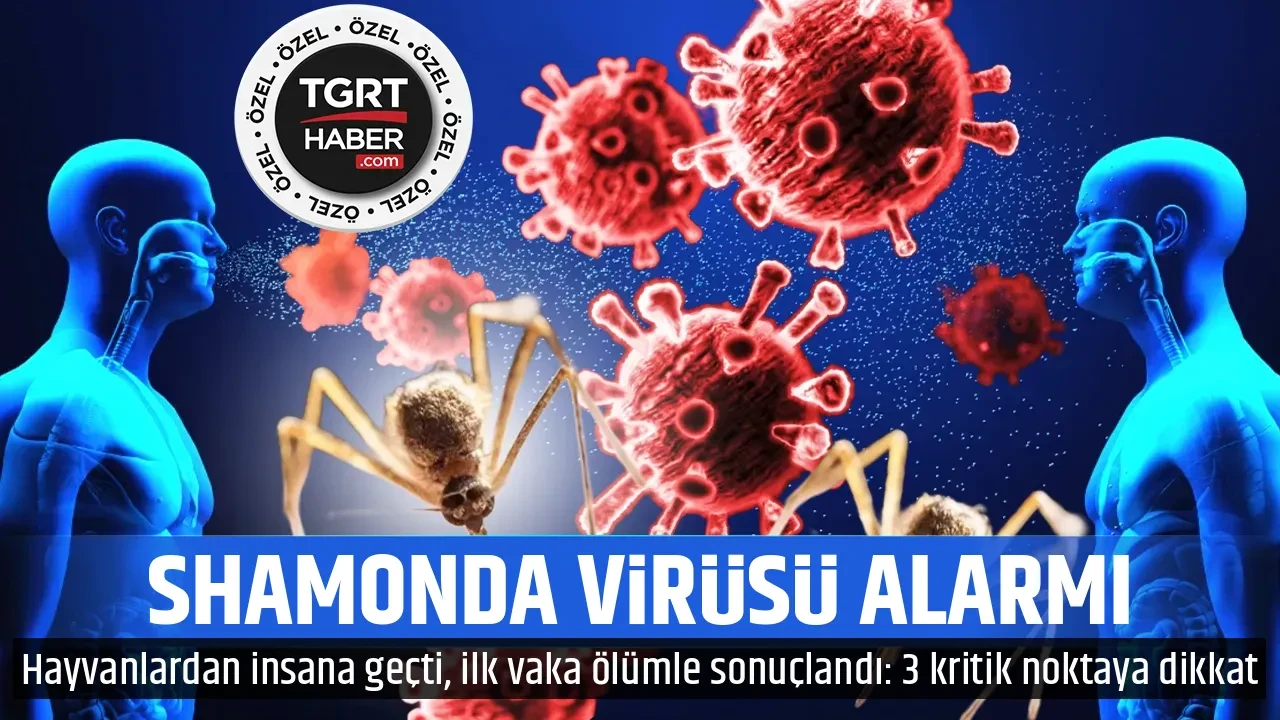 SHAMONDA VİRÜSÜ ALARMI