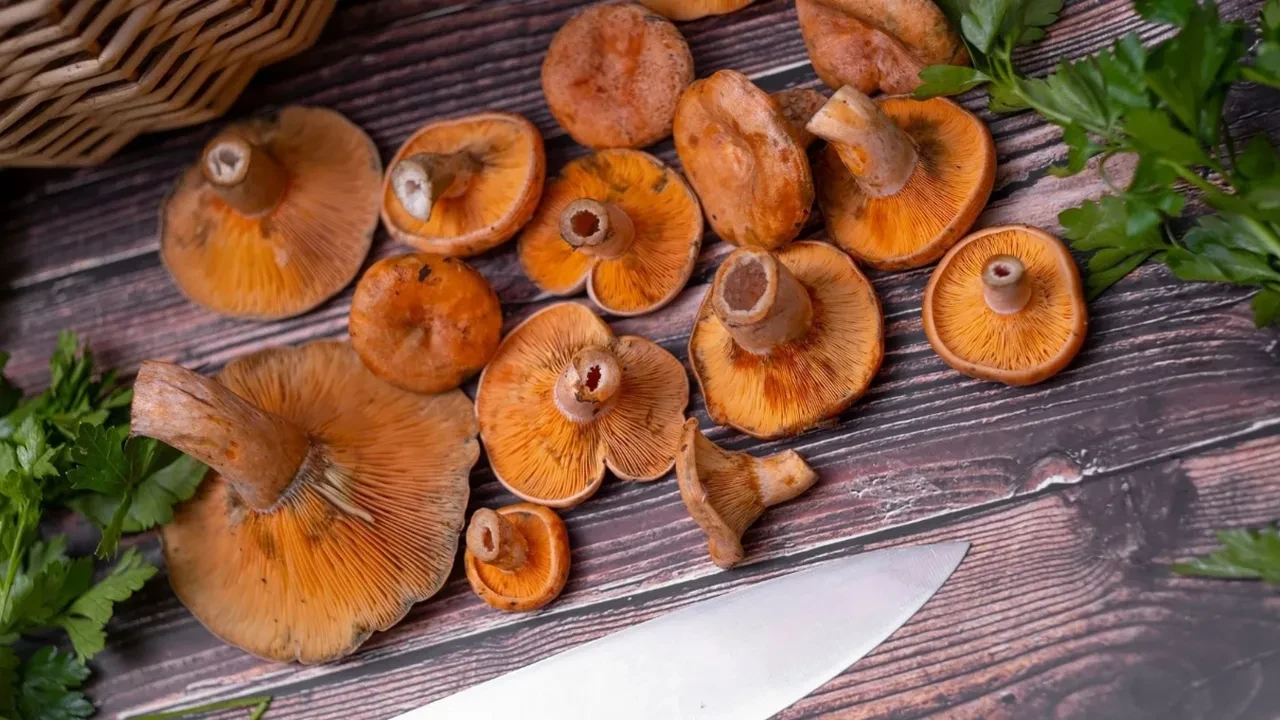Yumurtalı kanlıca mantarı tarifi! Gözünüz, gönlünüz ve kemikleriniz aynı anda doyacak