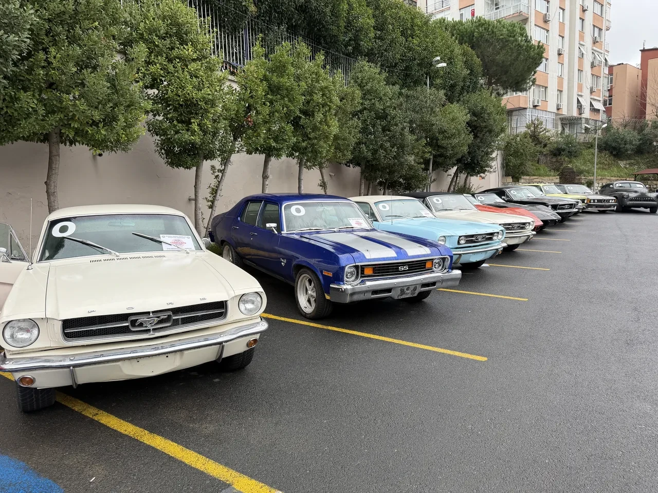 Antika ve klasik otomobillerde 500 milyon liralık vurgun: 61 otomobil emniyette sergilendi