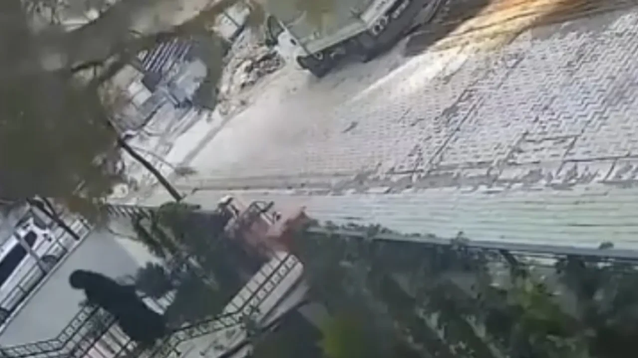 Yaşlı kadın ölümden saniyelerle kurtuldu! Dev ağacın yıkıldığı anlar kamerada