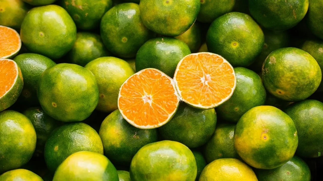 Pazarda yeşil mandalina görünce bunu bilin! Rengiyle ilgili şaşırtan detay