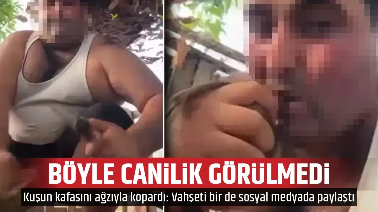 BÖYLE CANİLİK GÖRÜLMEDİ 