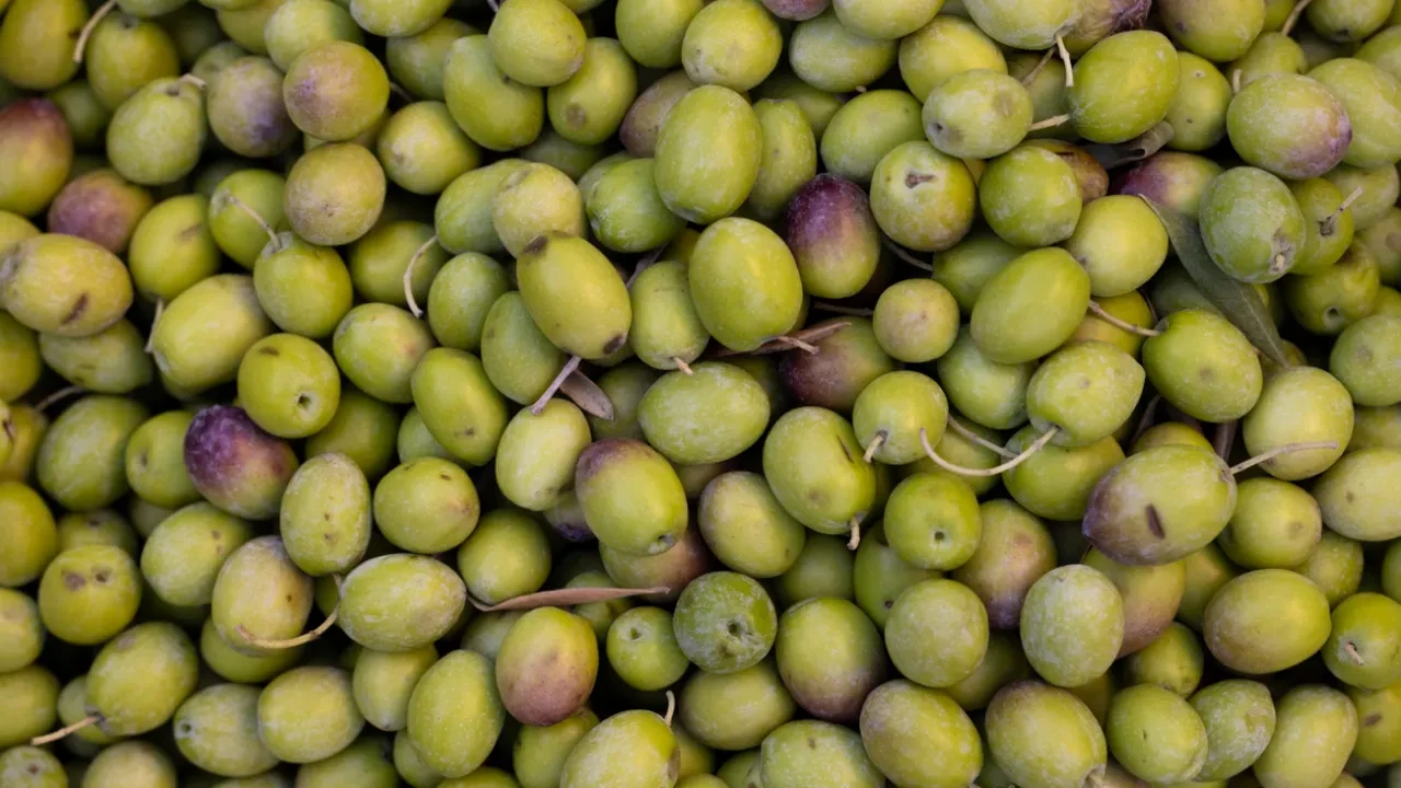 Evde Hatay usulü kırma zeytin nasıl yapılır? Kimsenin bilmediği o sır  