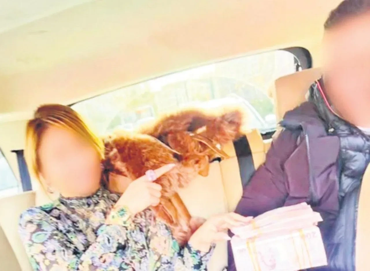 Rüşvet soruşturmasında şok detaylar! Tahliye kararı verdi, milyonluk arsaları aldı