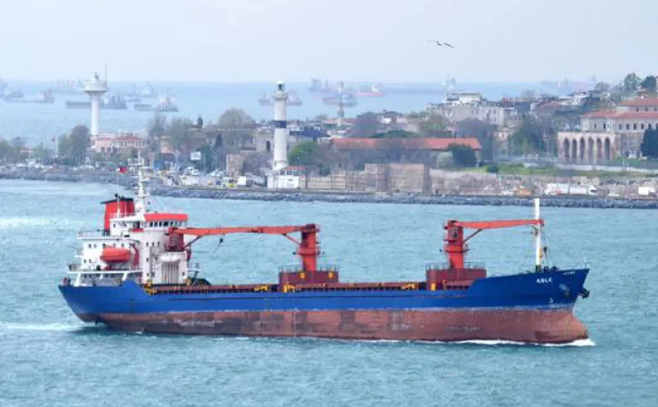 Bulgaristan açıklarında Türk şirketlerine ait iki gemiye saldırı: Bir gemi battı, denizciler kayıp